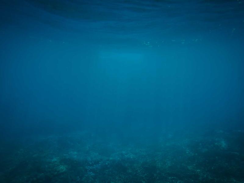 365官网下载安装步骤详解